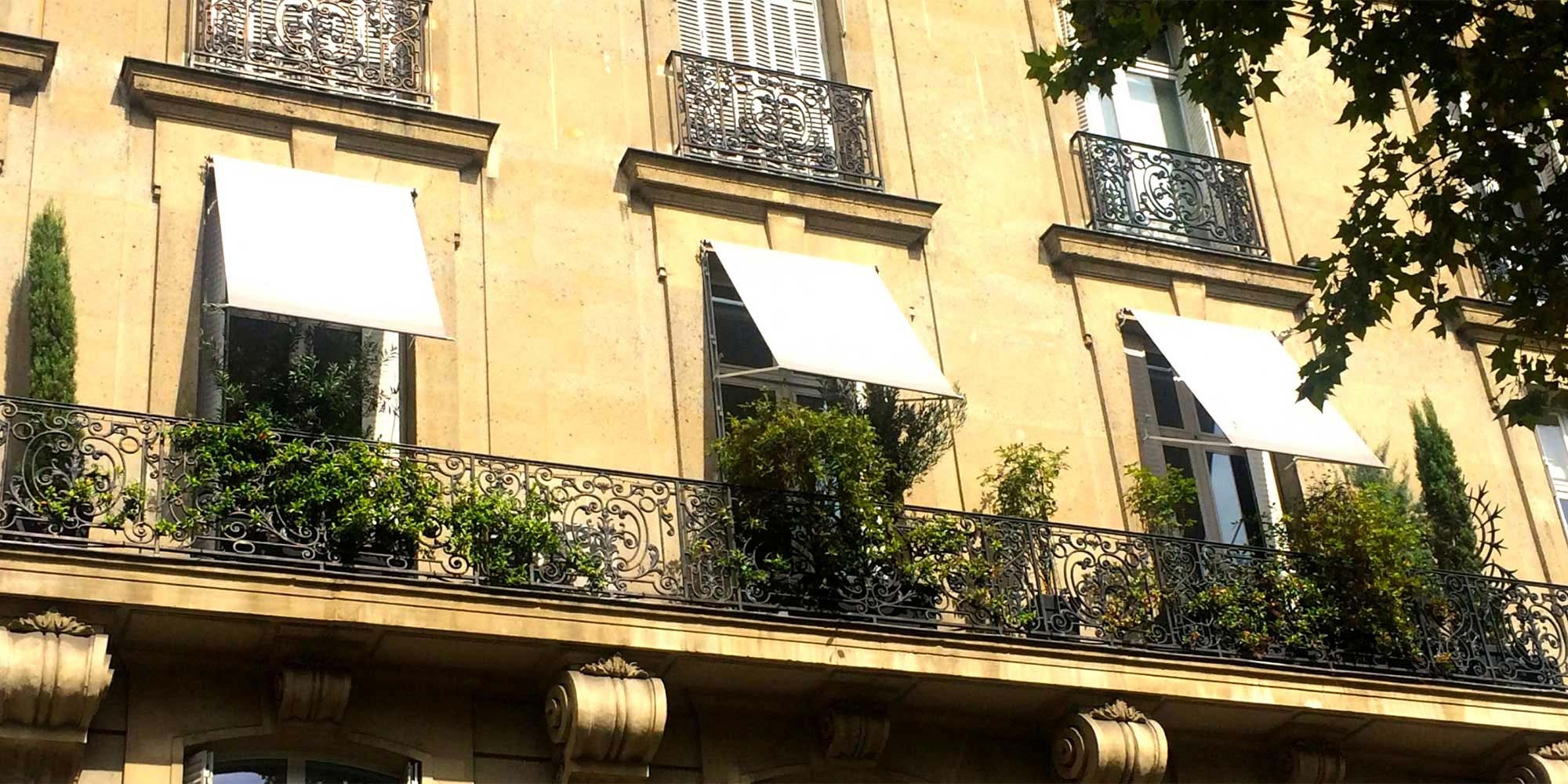 Vous avez un balcon à Paris… Offrez-lui un jardinier pour Noël !