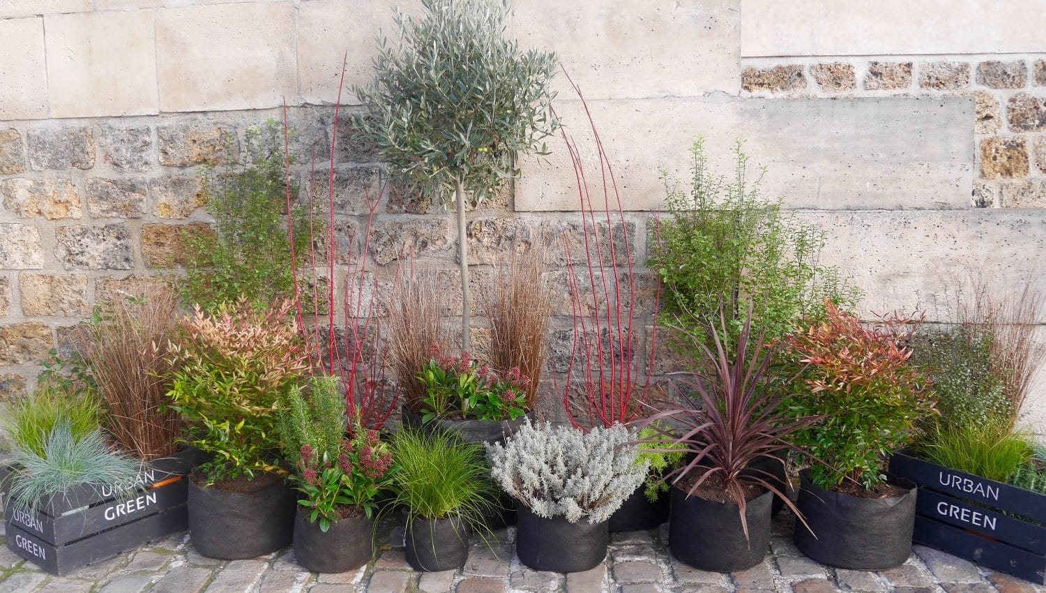 Paysagiste Paris | Paysagiste Paris 8 - Paysagiste Paris 16 - Paysagiste Paris 7