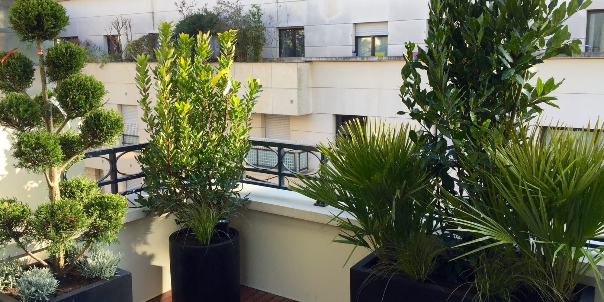 Paysagiste Paris | Paysagiste Paris 8 - Paysagiste Paris 16 - Paysagiste Paris 7