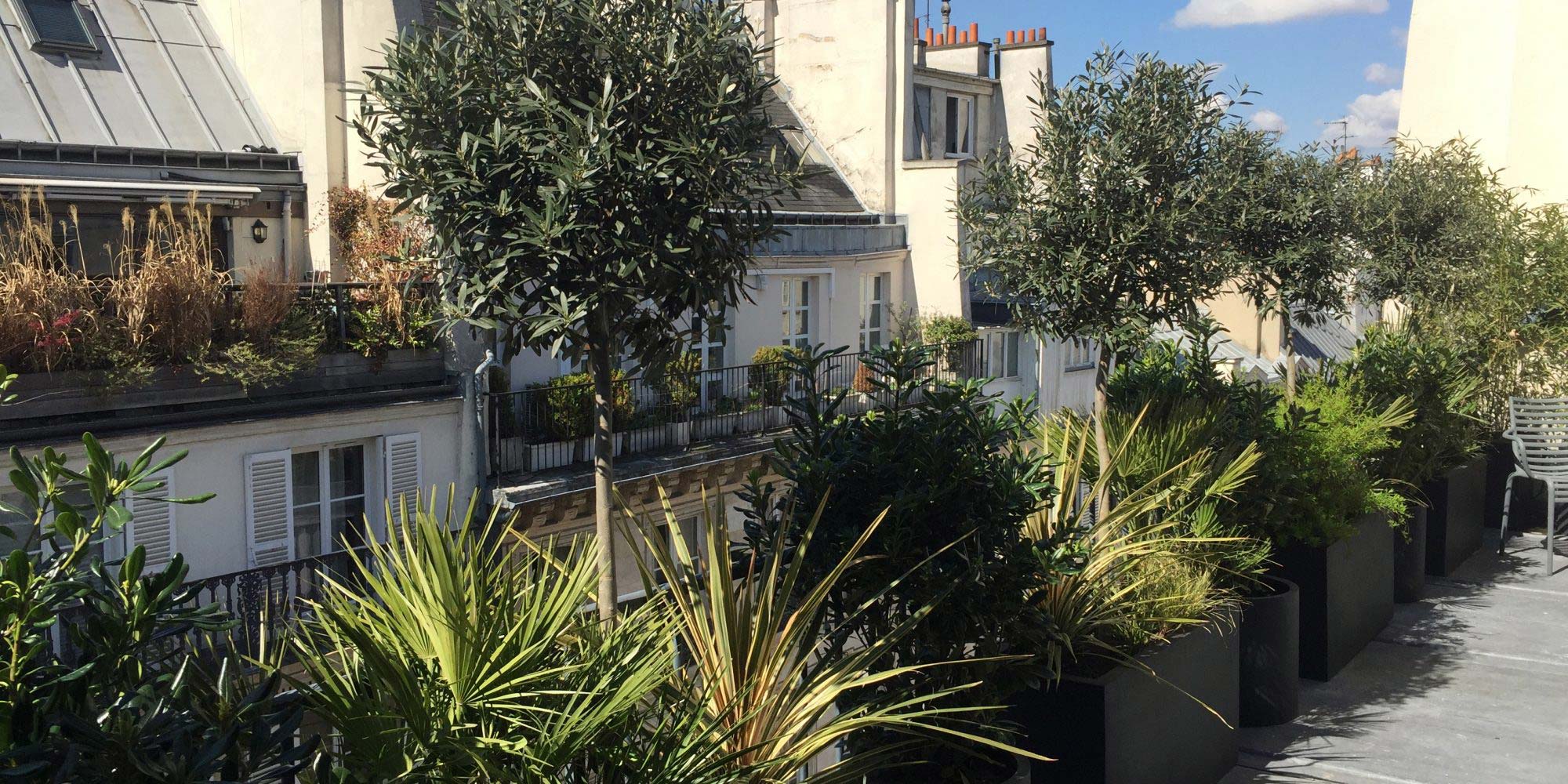 Vous avez un balcon à Paris… Offrez-lui un jardinier pour Noël !